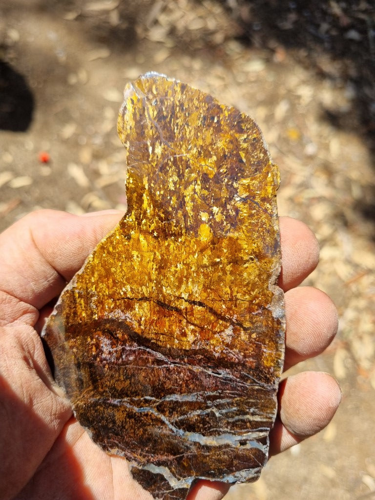 Polished Golden Amphibolite GA148 – GemstoneGeeks.