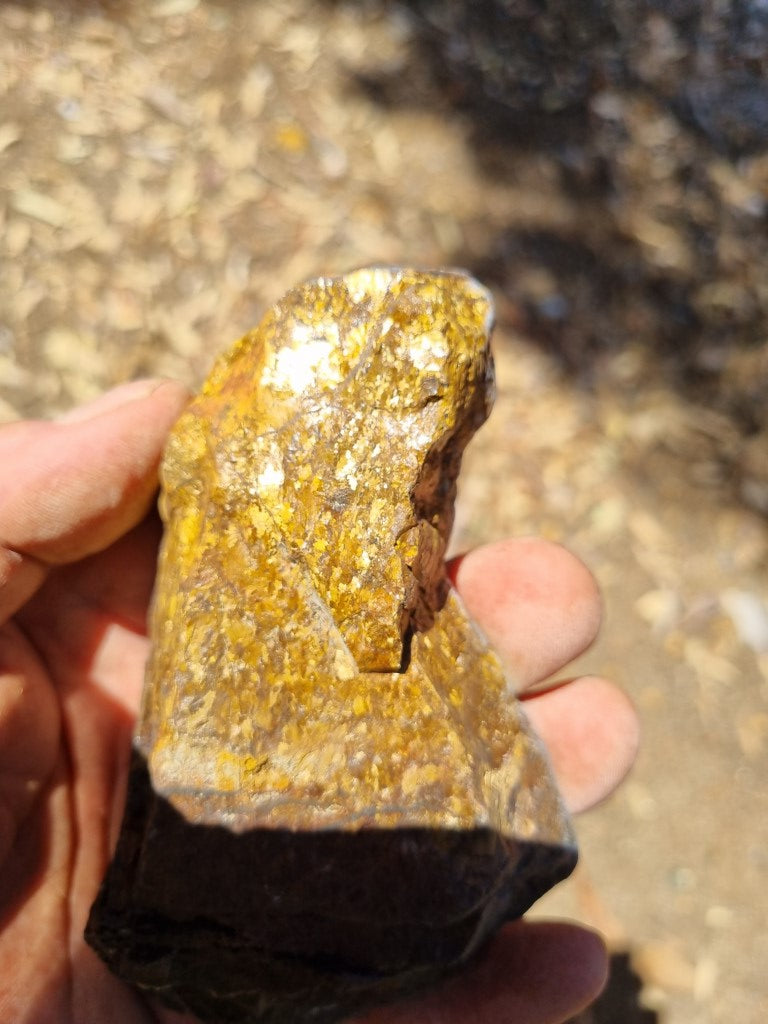 Polished Golden Amphibolite GA148 – GemstoneGeeks.