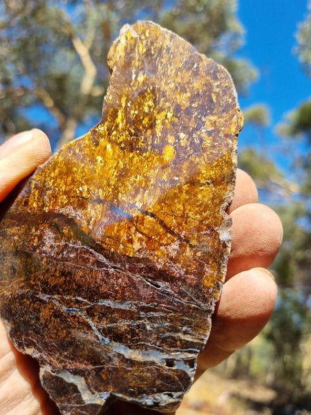 Polished Golden Amphibolite GA148 – GemstoneGeeks.