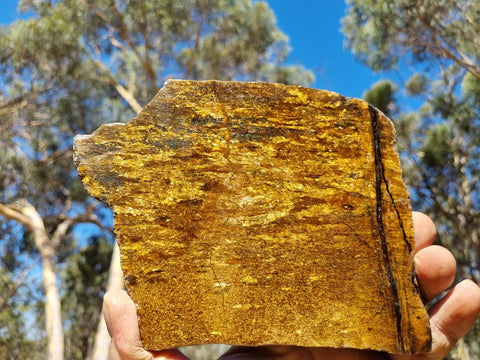 Polished Golden Amphibolite slab GA145