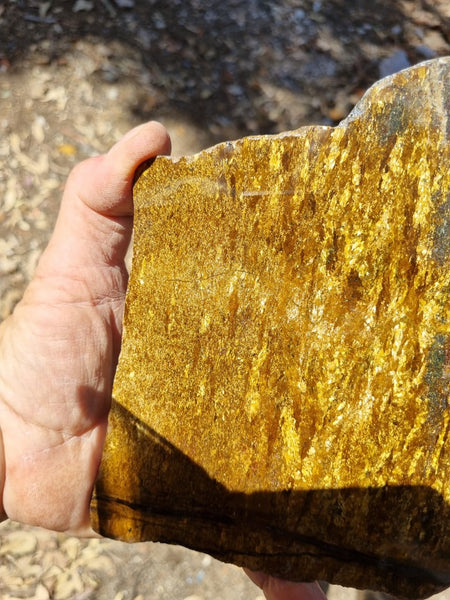 Polished Golden Amphibolite slab GA145