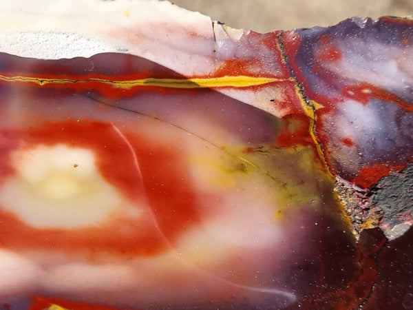 Polished Mookaite slab MK376