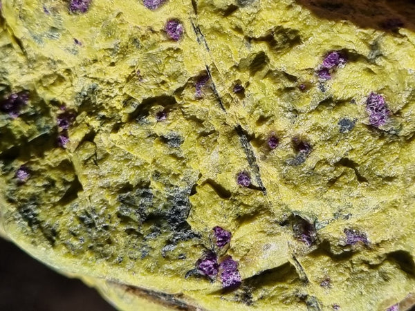 Polished Stichtite in Serpentine (Atlantisite) STI138