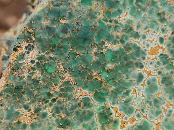 Variscite Polished rock.  VP 263