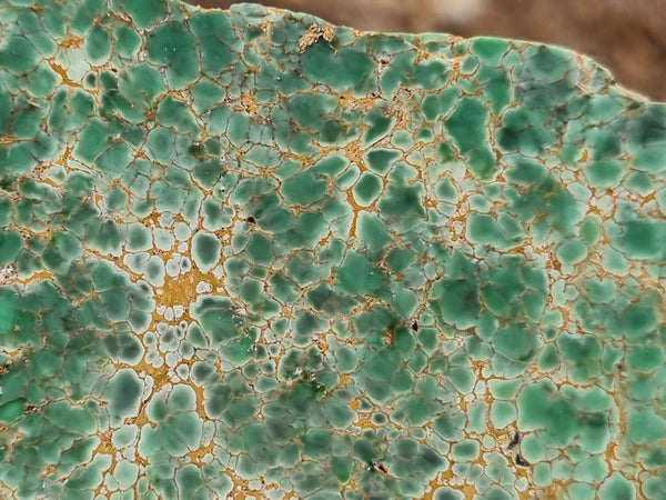 Variscite Polished rock.  VP 263