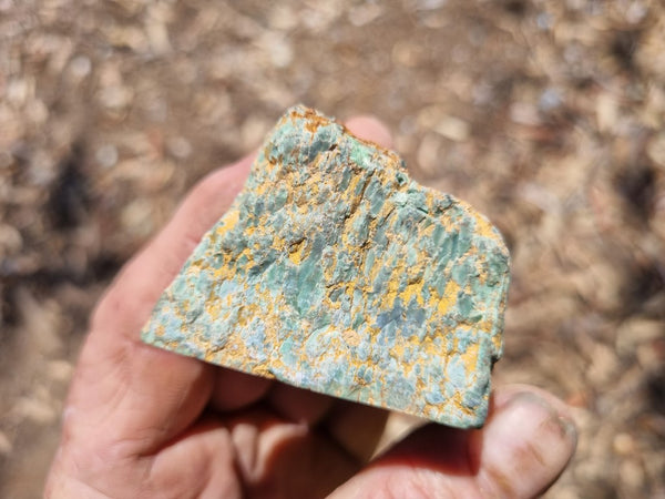Variscite Polished rock.  VP 263