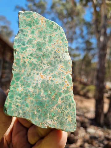 Variscite Polished rock.  VP 263