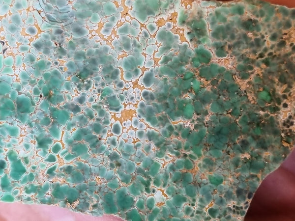 Variscite Polished rock.  VP 263