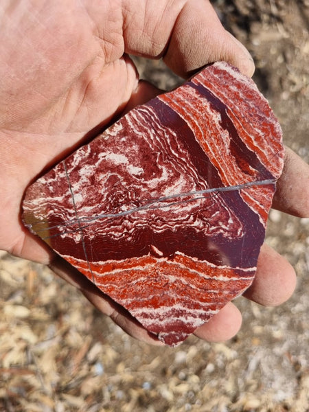 Polished Snakeskin Jasper slab SS164