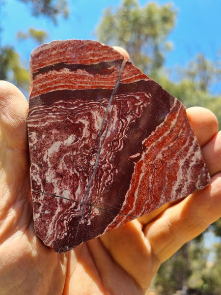 Polished Snakeskin Jasper slab SS164