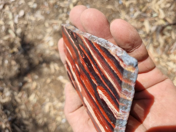 Polished Snakeskin Jasper slab SS166