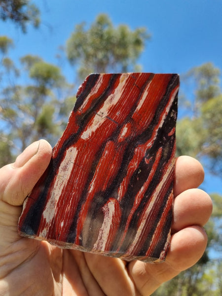 Polished Snakeskin Jasper slab SS166