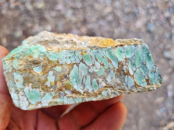 Variscite rough. VR514