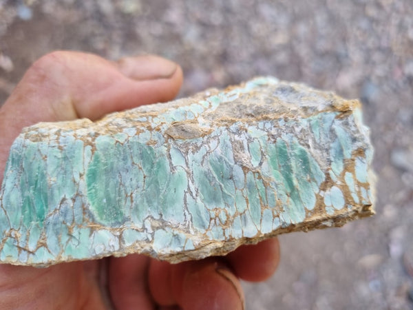 Variscite rough. VR514