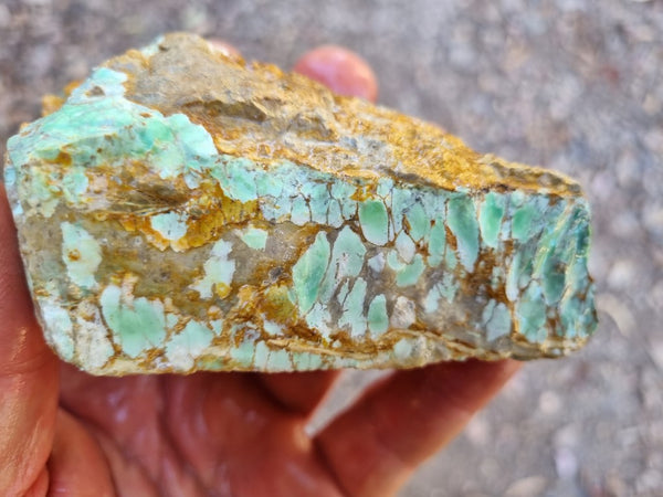 Variscite rough. VR514