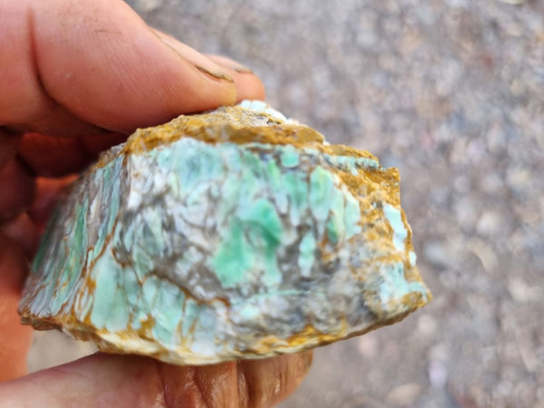 Variscite rough. VR514