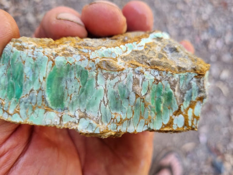 Variscite rough. VR514