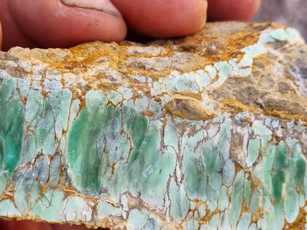 Variscite rough. VR514