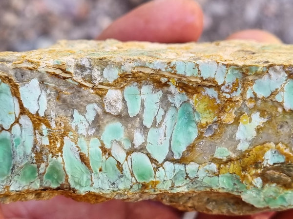 Variscite rough. VR514