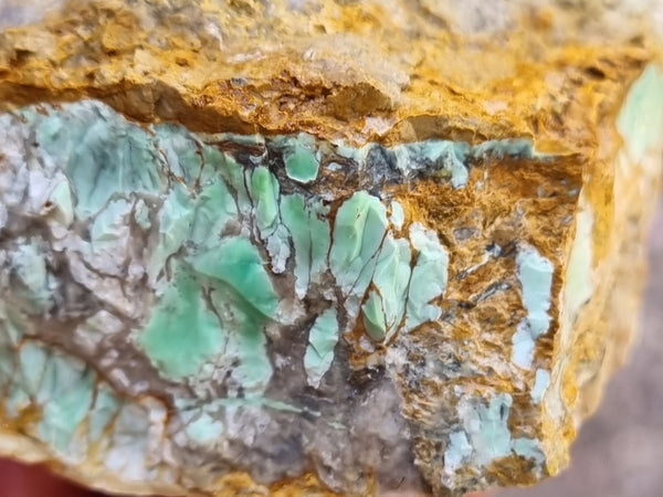 Variscite rough. VR514