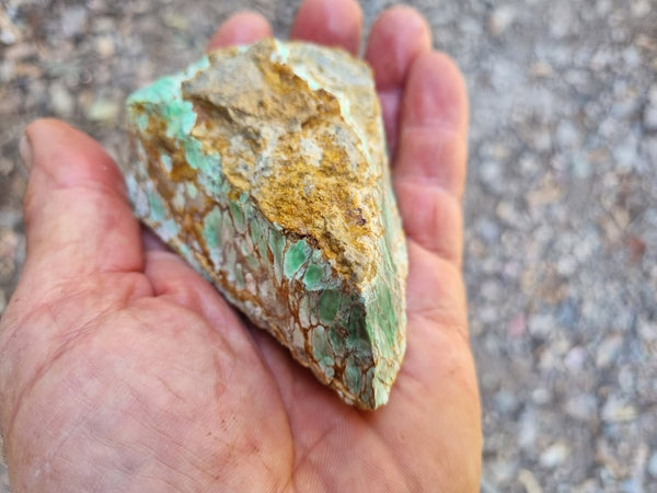 Variscite rough. VR514