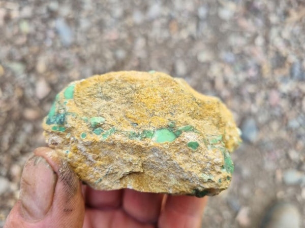 Variscite rough. VR517