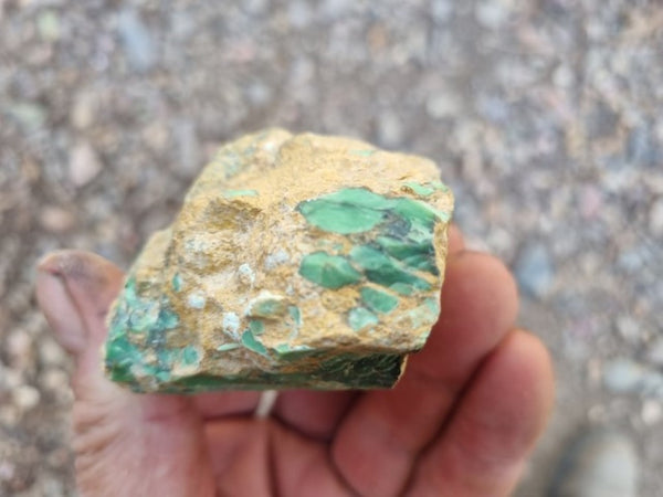 Variscite rough. VR517