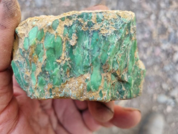 Variscite rough. VR517