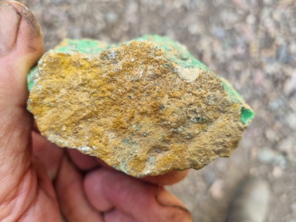 Variscite rough. VR517