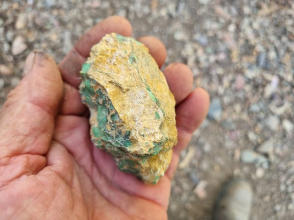 Variscite rough. VR517