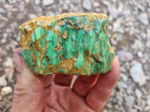 Variscite rough. VR517