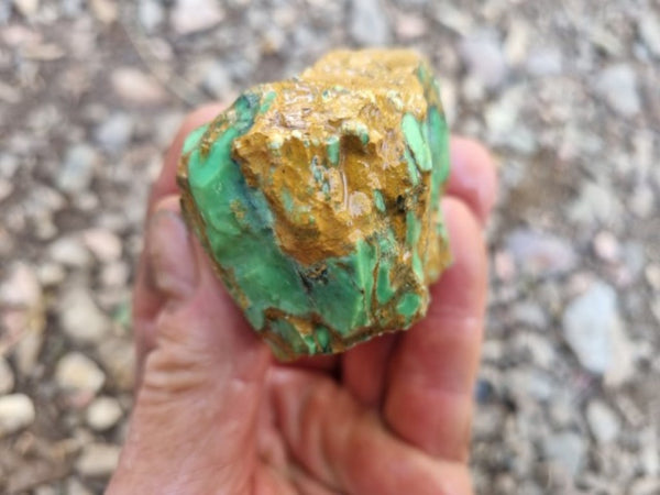 Variscite rough. VR517