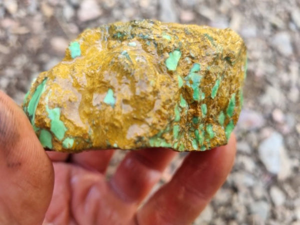 Variscite rough. VR517