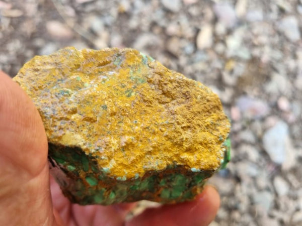 Variscite rough. VR517