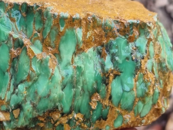 Variscite rough. VR517