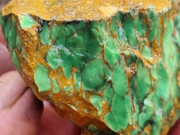 Variscite rough. VR517