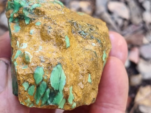 Variscite rough. VR517