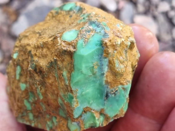 Variscite rough. VR517