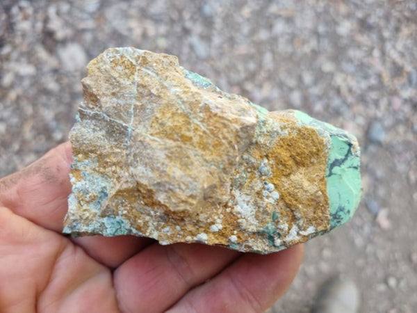 Variscite rough. VR520