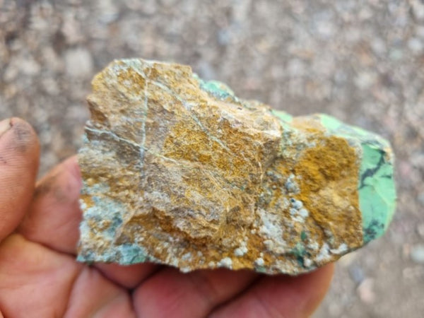 Variscite rough. VR520