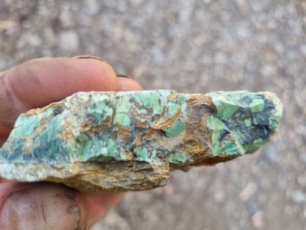 Variscite rough. VR520