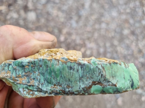 Variscite rough. VR520