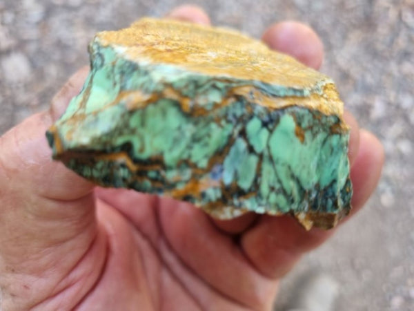 Variscite rough. VR520