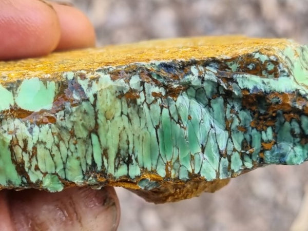 Variscite rough. VR520