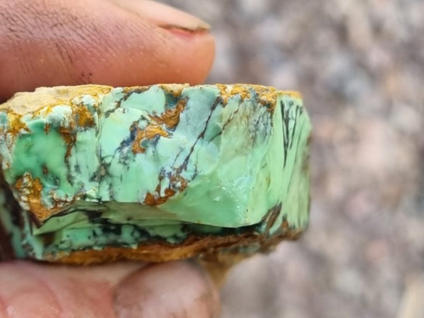 Variscite rough. VR520