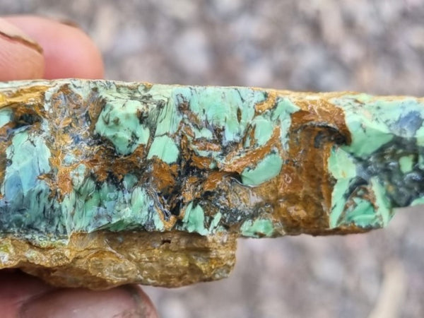 Variscite rough. VR520