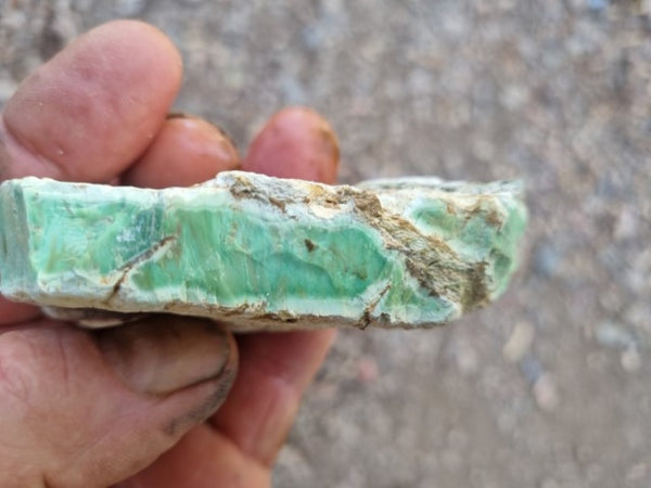 Variscite rough. VR521