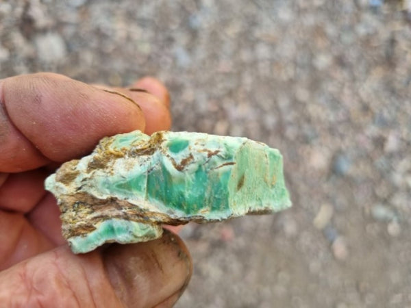 Variscite rough. VR521