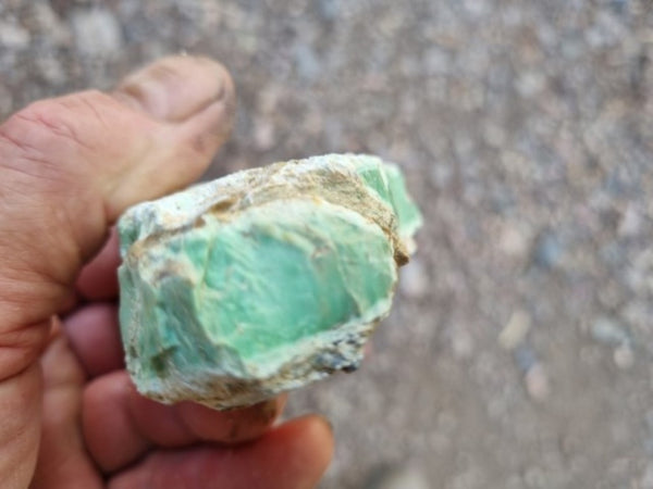 Variscite rough. VR521