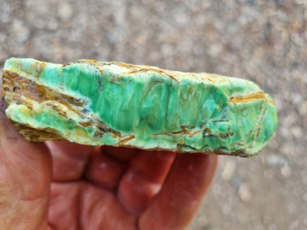 Variscite rough. VR521